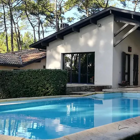 Swimming Pool * بيسكاروس